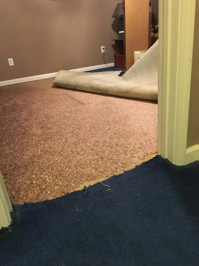 Carpet pad removal revealing water damage during Drying & Dehumidification in North Miami Beach